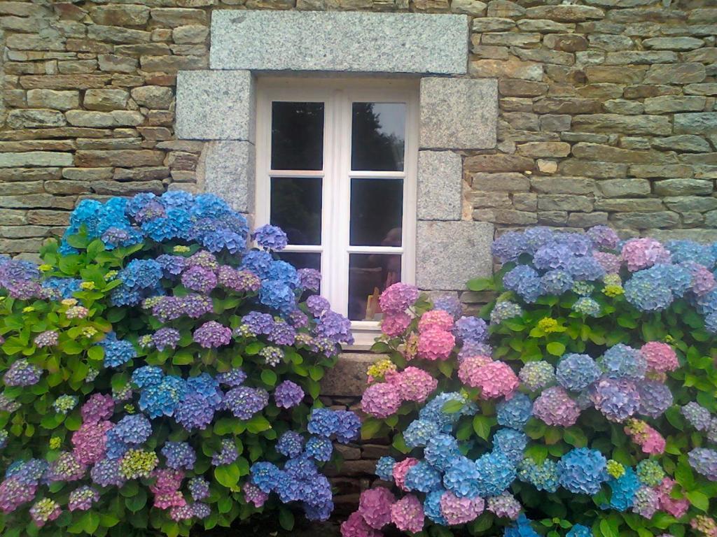 Bed and Breakfast Le Petit Kerangoi Pont-Aven Esterno foto